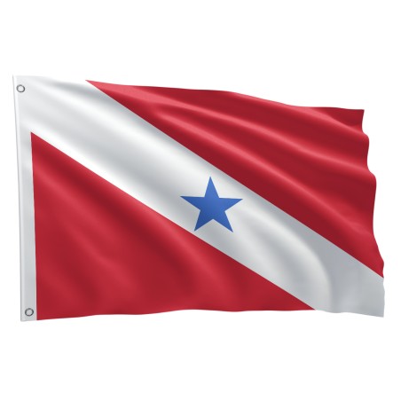 Bandeira Estado Pará Sublimada 1,50m x 0,90m